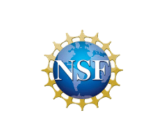 logo_nsf